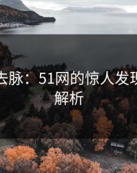 探秘龙去脉：51网的惊人发现和深度解析