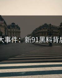 揭秘91大事件：新91黑料背后的真相