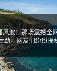 明星直播风波：那场震撼全网的直播，再现后劲，网友们纷纷揭秘真相