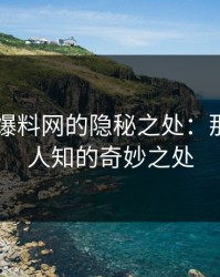 揭秘51爆料网的隐秘之处：那些不为人知的奇妙之处