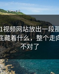 深夜里51视频网站放出一段那次连麦，背后到底藏着什么，整个走向突然就不对了