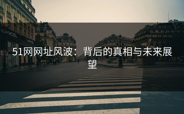 51网网址风波：背后的真相与未来展望