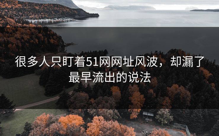 很多人只盯着51网网址风波，却漏了最早流出的说法