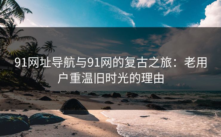 91网址导航与91网的复古之旅:老用户重温旧时光的理由 91网址导航与91网的复古之旅:老用户重温旧时光的理由
