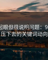 乍看不起眼但很说明问题：91网的被压下去的关键词动向