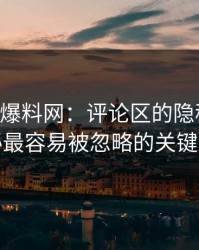51吃瓜爆料网：评论区的隐秘力量，揭秘最容易被忽略的关键细节