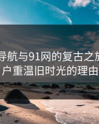 91网址导航与91网的复古之旅：老用户重温旧时光的理由