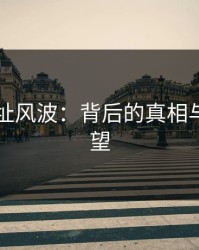 51网网址风波：背后的真相与未来展望
