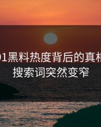 探索新91黑料热度背后的真相：为何搜索词突然变窄