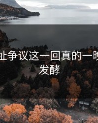 51网网址争议这一回真的一晚上都在发酵