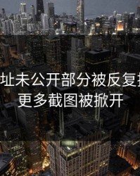 51网网址未公开部分被反复提起后，更多截图被掀开