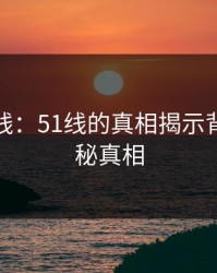 穿透防线：51线的真相揭示背后的隐秘真相