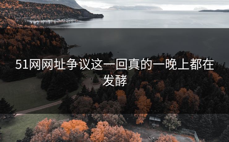 51网网址争议这一回真的一晚上都在发酵