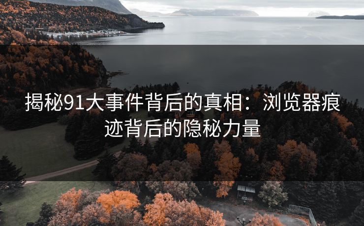 揭秘91大事件背后的真相：浏览器痕迹背后的隐秘力量