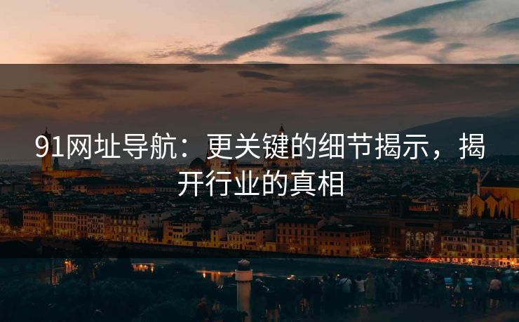 91网址导航：更关键的细节揭示，揭开行业的真相