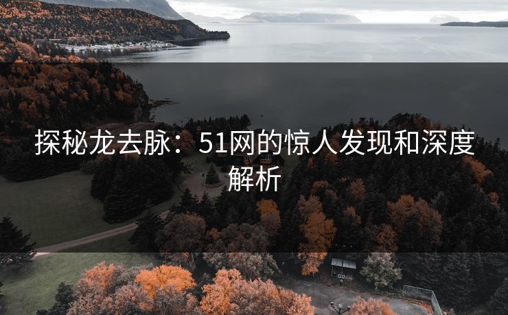 探秘龙去脉：51网的惊人发现和深度解析