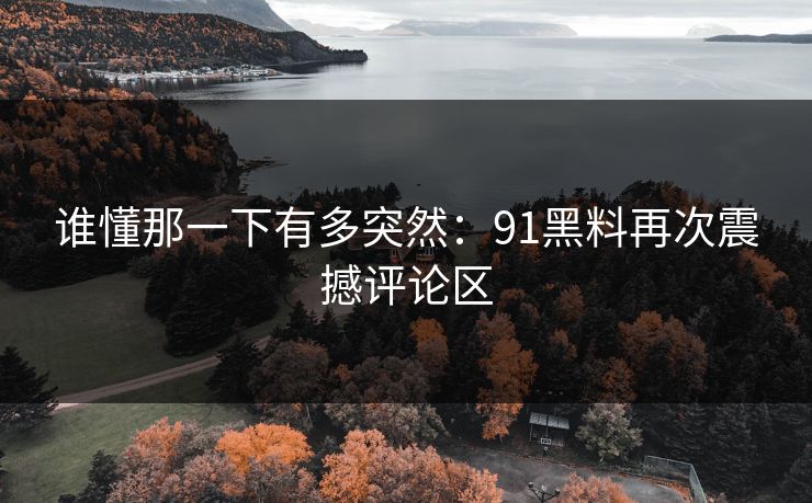 谁懂那一下有多突然：91黑料再次震撼评论区